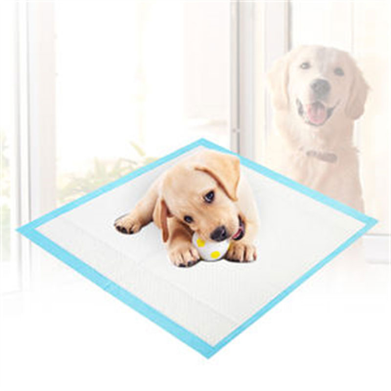 Absorbent water PE membrane disposable dog pee pet pad